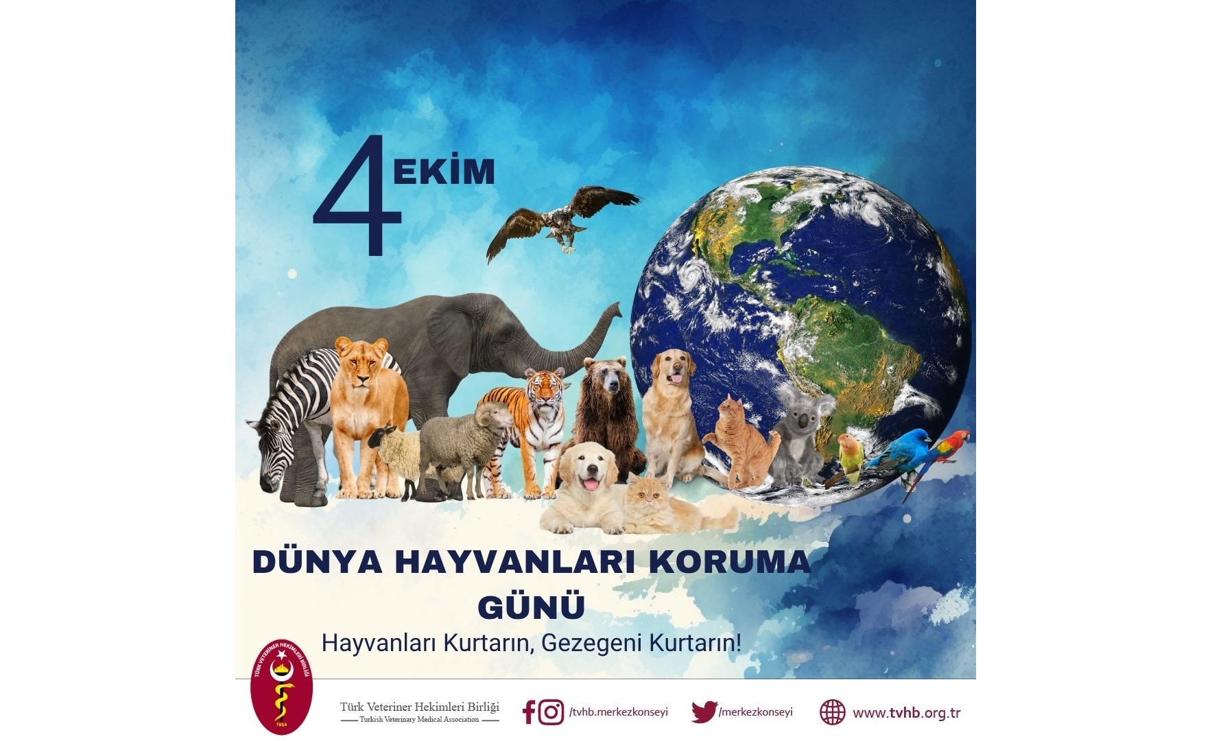 “Hayvanları korumak, geleceği korumaktır”